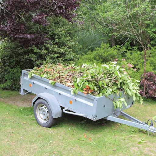 Garden Clearance