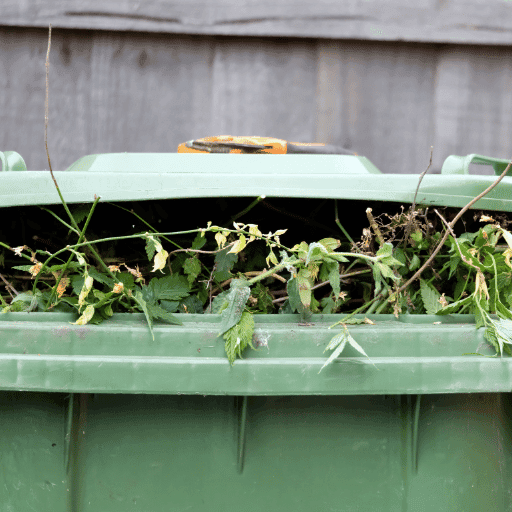 Green Waste Removal