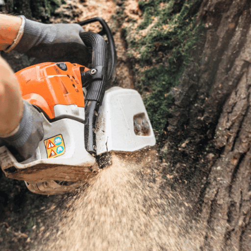 Tree Surgery
